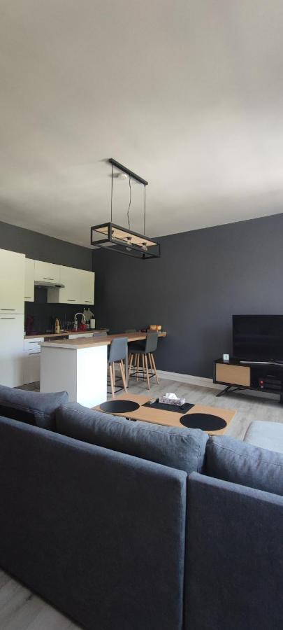 Appartement D'Hippolyte - Vue Musee Rimbaud Charleville-Mézières 外观 照片